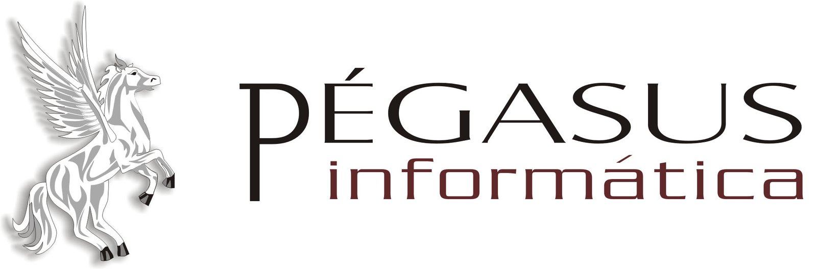 Pégasus Informática